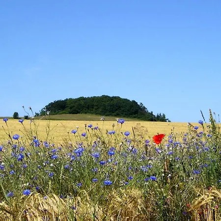 펜션 Pfingstrose Haus - Kamin, Terrasse, Garten 트렌트